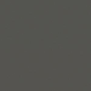 Schaduwgrijs RAL 7022