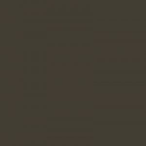 Schaduwgrijs RAL 7022