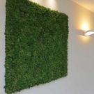 Mosschilderij - 120 x 120 cm