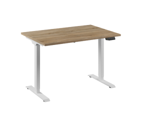 Elektrisch zit sta bureau basic 2 met standaard bediening